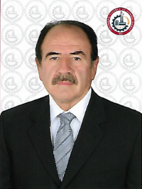 cengizarikanli